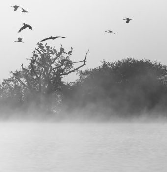 20210126-DSC_5577