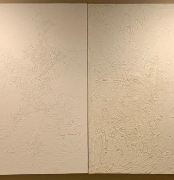 APPR-1759#KALPANA-VISHWAS#NATURAL-MAP#edited