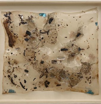 APPR-1789#RASHMI-BAGCHI-SARKAR#DSC_1025