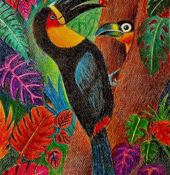 APPR-1971#ANJANA-DUTT#CTOUCAN
