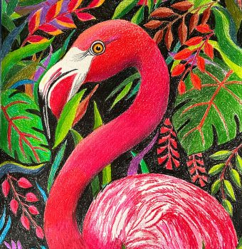APPR-1972#ANJANA-DUTT#CFLAMINGO